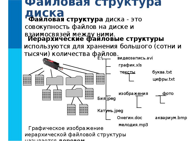 Файлы и файловые структуры 7 класс презентация