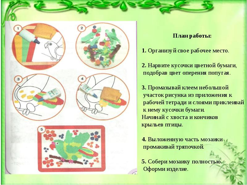 Полеты птиц изделие попугай презентация 1 класс