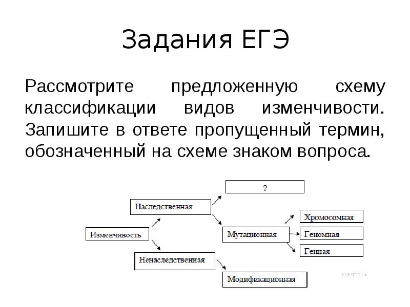 Термин обозначающий схему. Рассмотрите предложенную схему классификации углеводов. Рассмотритепредложеннуюсхему классификации Нук. Рассмотрите предложенную схему классификации видов изменчивости. Рассмотрите предложенную схему классификации тканей человека..