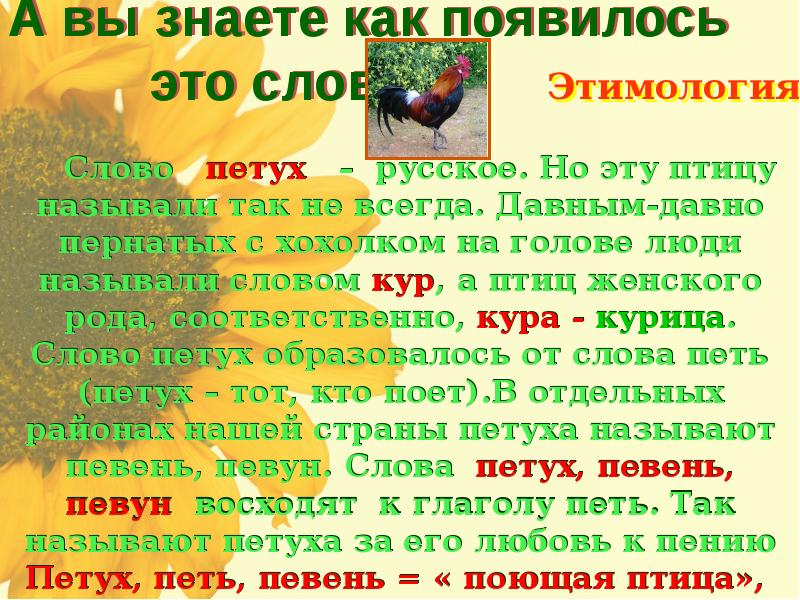 Слово петух звуки