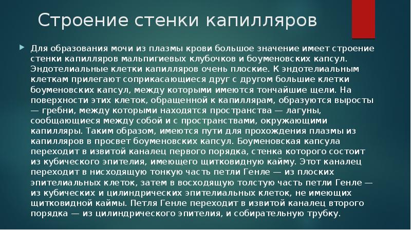 Стенки капилляров