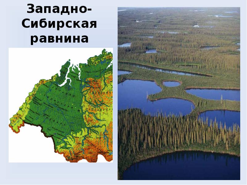 Презентация равнины 5 класс