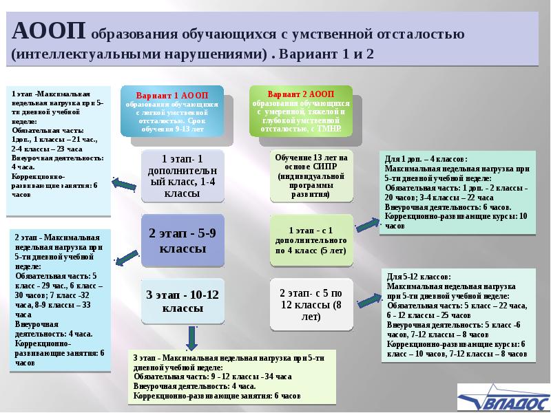 Учебный план умственная отсталость 9 класс