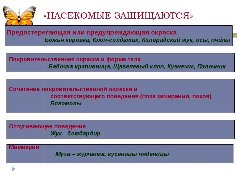 Тест многообразие и значение животных. Насекомые защищаются. многообразие и значение насекомых.