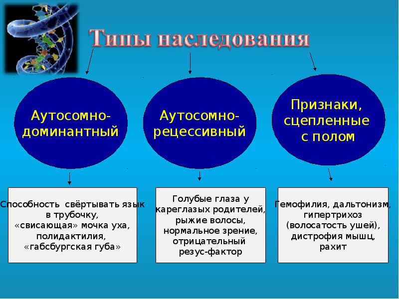 Признаки полома. Признаки связанные с полом схема. Составьте схему признаки связанные с полом. Наследование признаков сцепленных с полом таблица. Признаки сцепленные с полом примеры.