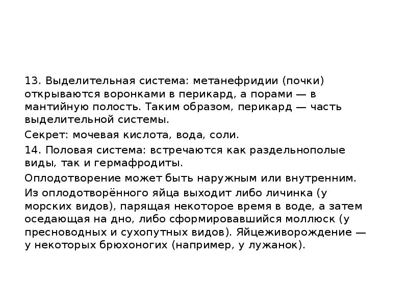 13. Выделительная система: метанефридии (почки) открываются воронками в перикард, а порами 13. Выделительная система: метанефридии (почки) открываются воронками в перикард, а порами