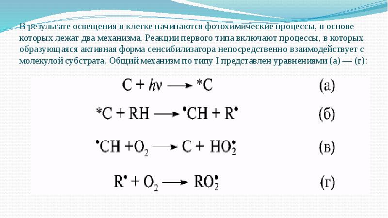 В результате освещения в клетке начинаются фотохимические процессы, в основе которых В результате освещения в клетке начинаются фотохимические процессы, в основе которых