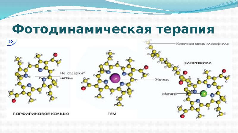Фотодинамическая терапия Фотодинамическая терапия