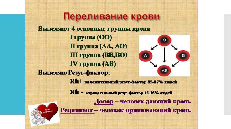 Проект на тему кровь пищевые предпочтения в зависимости от группы крови