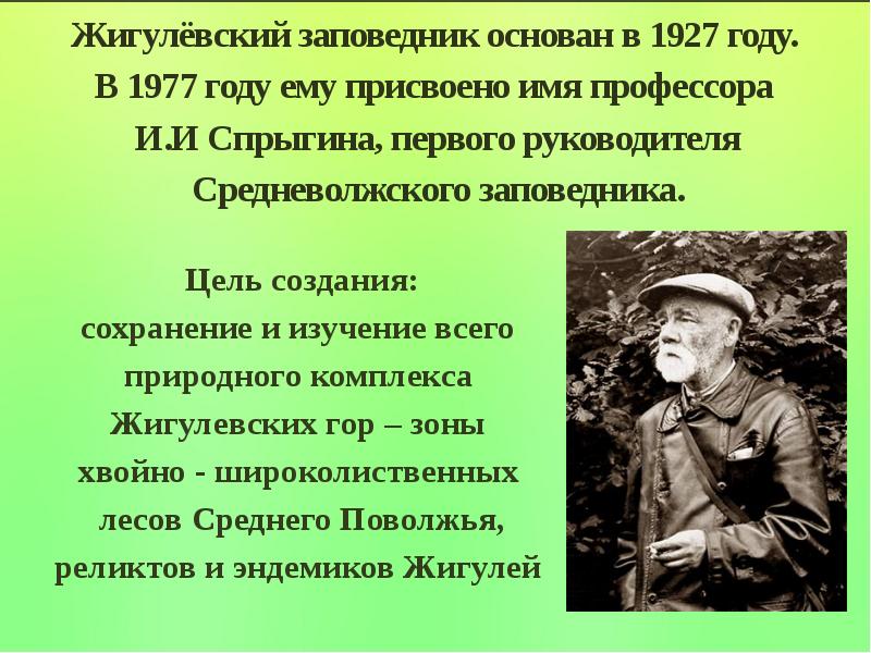 Какое название носит. Жигулёвский заповедник презентация. Жигулёвский заповедник сообщение. Доклад на тему Жигулевский заповедник. Жигулевский заповедник для детей.