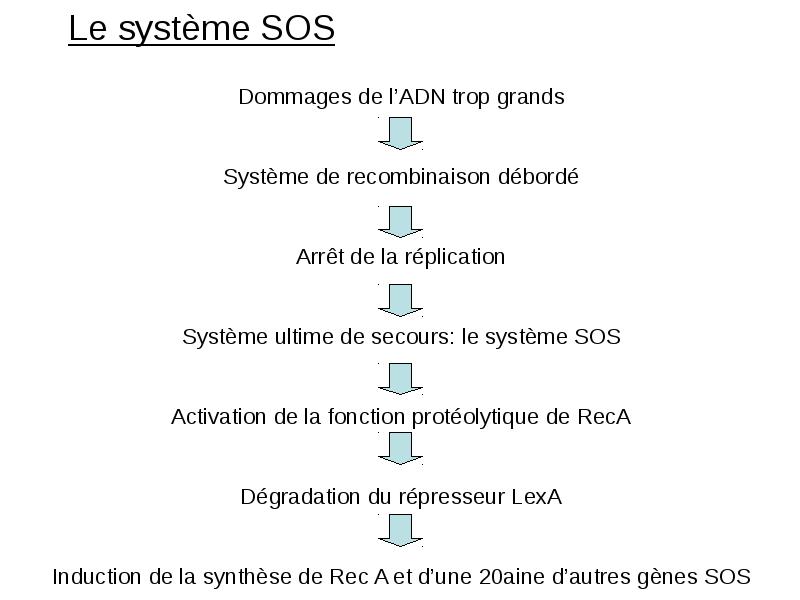 Le système SOS Le système SOS