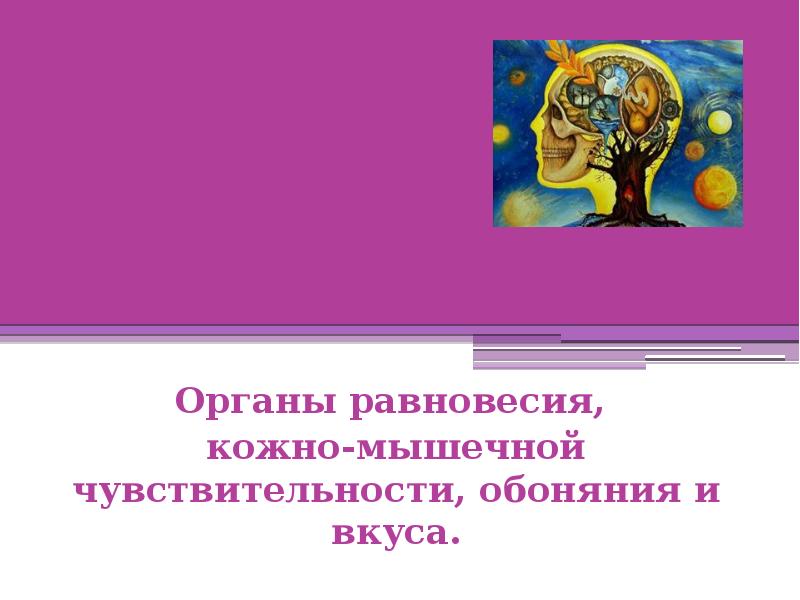 Орган осязания обоняния и вкуса презентация 8 класс по биологии