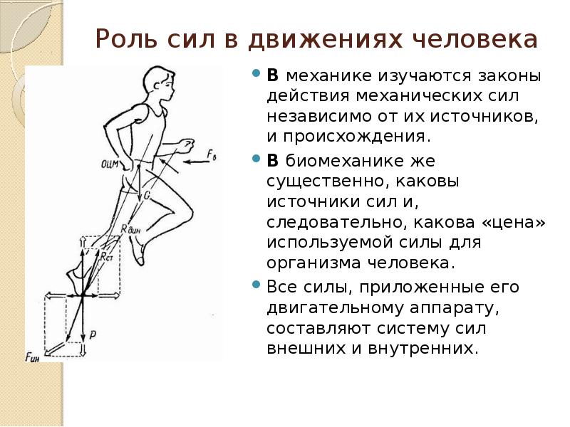 Сила поэтому. Силы в движениях человека. Роль сил в движениях человека биомеханика. Силы биомеханики человека. Движение человека физика.