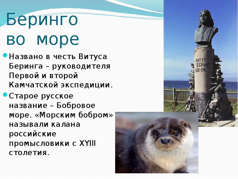 Моря названные в честь людей. Берингово море в честь кого было названо. В честь Беринга. Острова названные в честь Витуса Беринга. Объекты названные в честь Беринга.