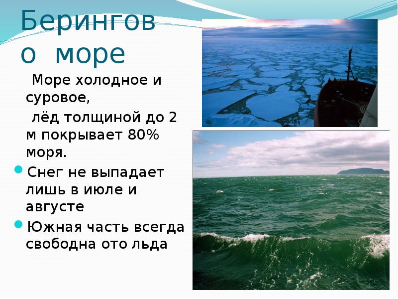 Моря тихого океана 9 класс география презентация