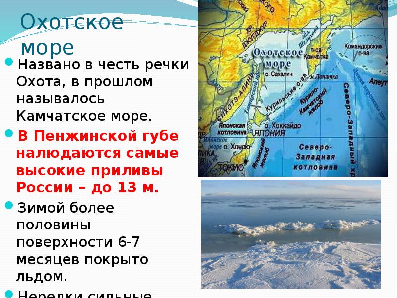 Определите соленость охотского моря. Охотское море площадь и глубина. Глубина Охотского моря. Охотское море презентация. Приливы в Охотском море самые высокие.