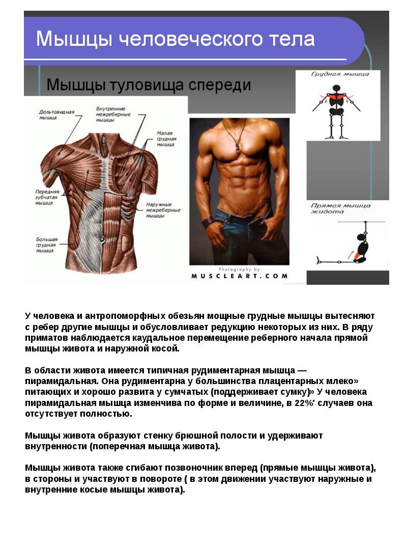 Курсы повышения квалификации по виду спорта волейбол. Физическая подготовка - пр