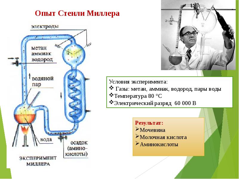 Теория биопоэза фото