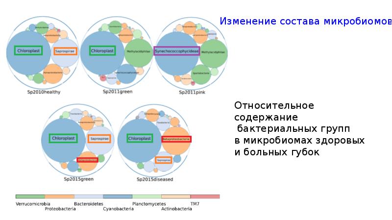 Способствовать выявлению