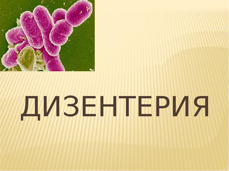 Дизентерия это. Дизентерия. Дизентерия презентация. Презентация на тему дизентерия. Дизентерия у детей презентация.