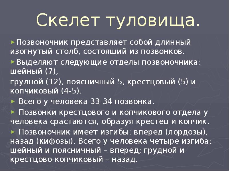 Скелет туловища.
Позвоночник представляет собой длинный изогнутый столб, состоящий из позвонков.
Скелет туловища.
Позвоночник представляет собой длинный изогнутый столб, состоящий из позвонков.