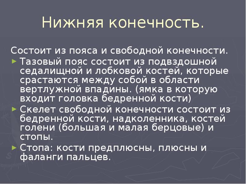 Нижняя конечность.
Состоит из пояса и свободной конечности.
Тазовый пояс состоит Нижняя конечность.
Состоит из пояса и свободной конечности.
Тазовый пояс состоит