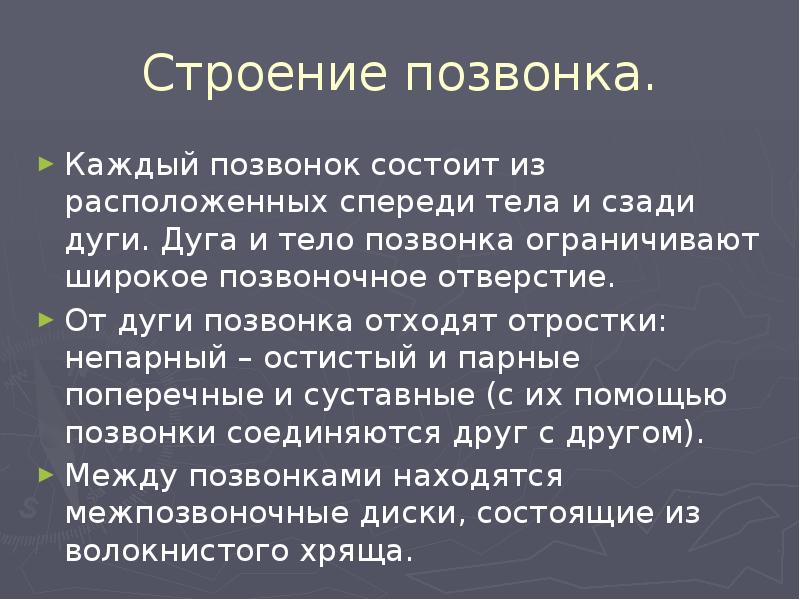 Строение позвонка.
Каждый позвонок состоит из расположенных спереди тела и сзади Строение позвонка.
Каждый позвонок состоит из расположенных спереди тела и сзади