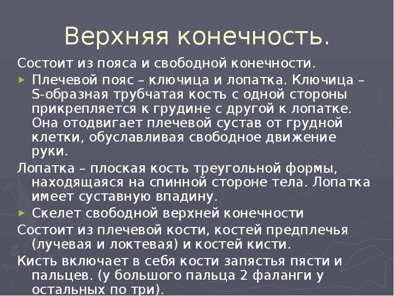 Верхняя конечность.
Состоит из пояса и свободной конечности.
Плечевой пояс – Верхняя конечность.
Состоит из пояса и свободной конечности.
Плечевой пояс –
