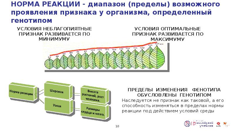 Предел нормального. Что такое норма реакции в биологии 10 класс. Понятие нормы реакции. Норма реакции признака это в биологии. Норма реакции генетика.