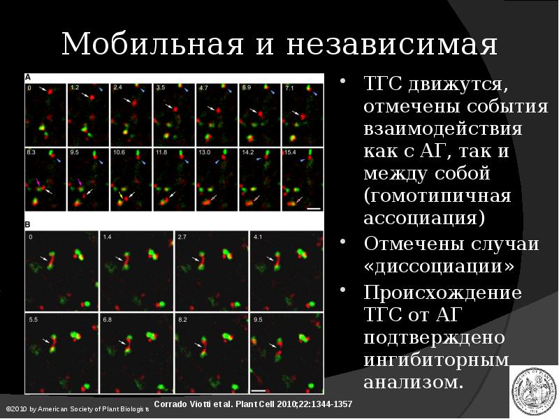 Отмечать событие