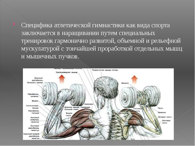 Презентация на тему атлетическая гимнастика