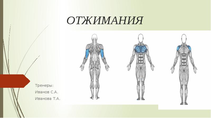 Презентация про отжимания