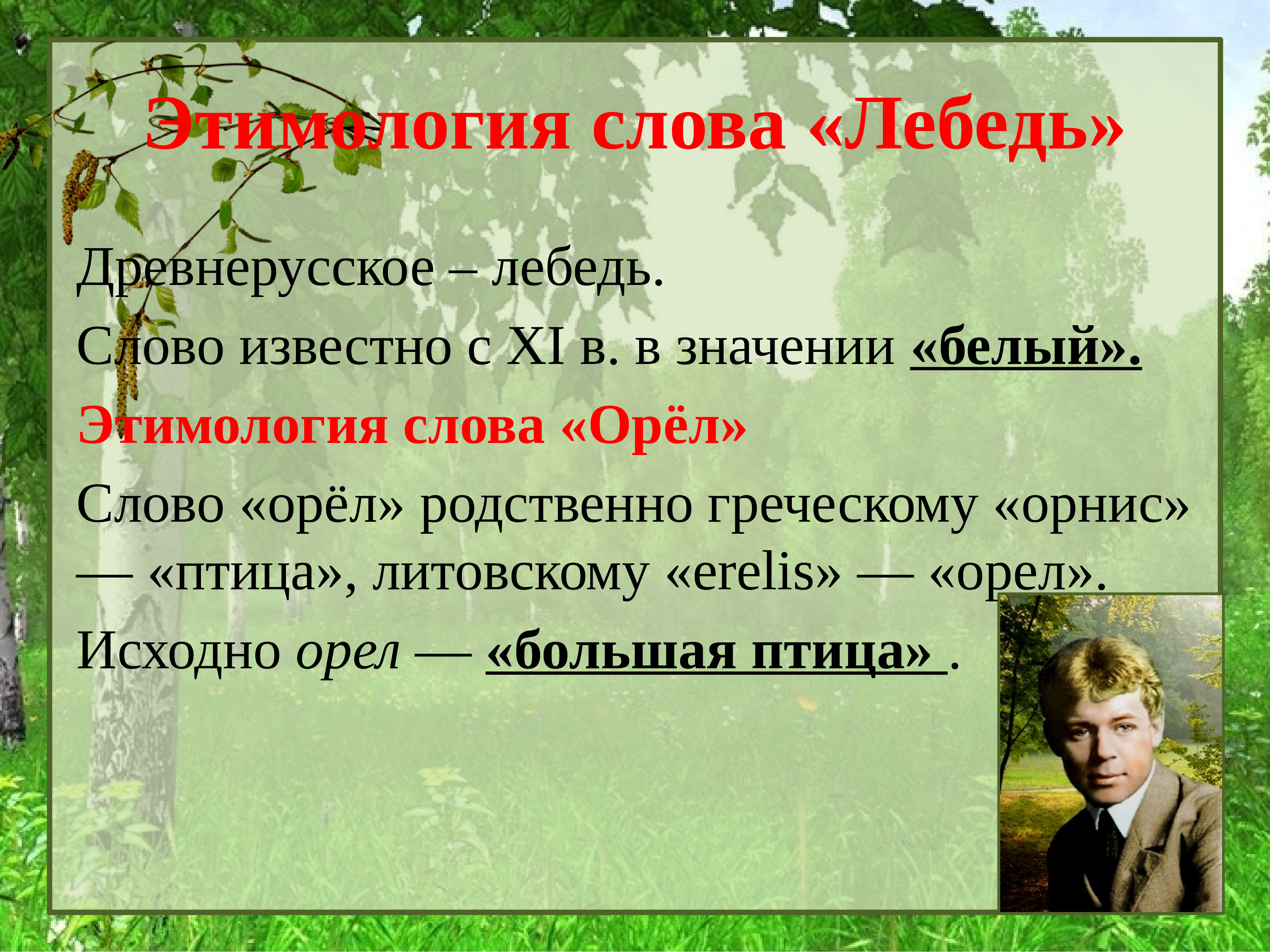 Слово орел. Этимологическое значение слова лебедь. Этимология Сова лебедь. Этимология слова Орел. Лебедушка Есенин орёл.