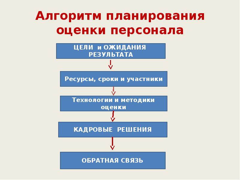 Алгоритм планирования оценки персонала Алгоритм планирования оценки персонала