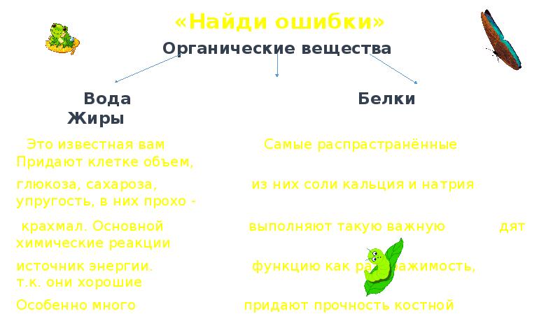 Придает клетке форму упругость