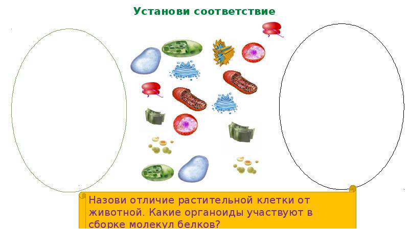 Проект на тему иркутская область