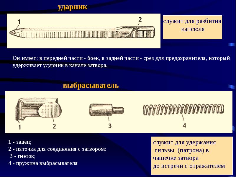 Презентация по пм