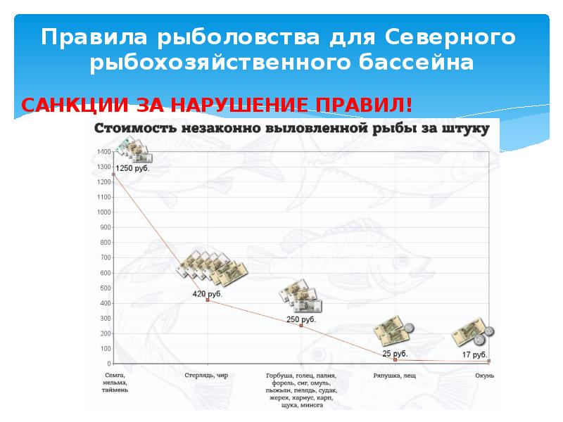 Сайт правила рыболовства