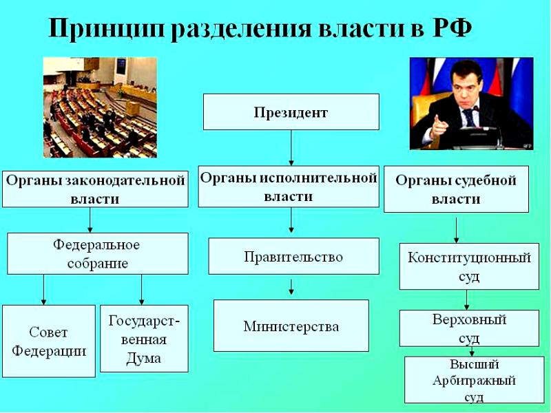 Понятия и виды государственных органов презентация