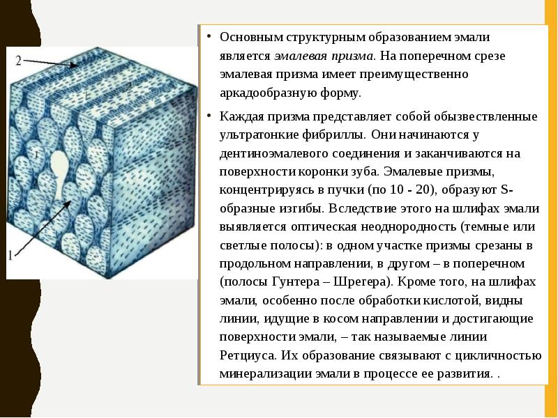 Структурная основа любого изображения это