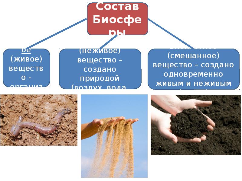 Биосфера земная оболочка презентация 6 класс