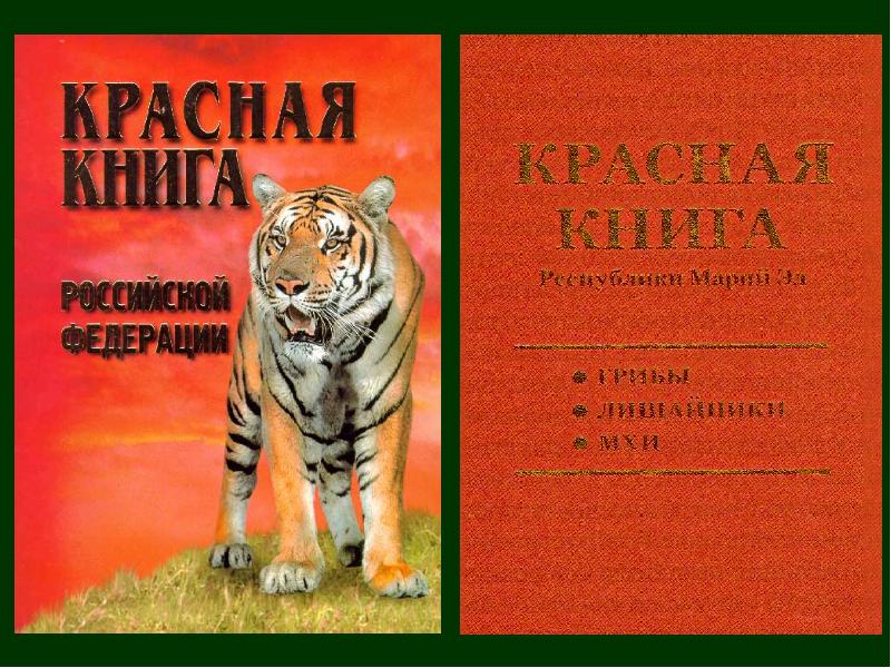 Проект на тему красная книга алтайского края