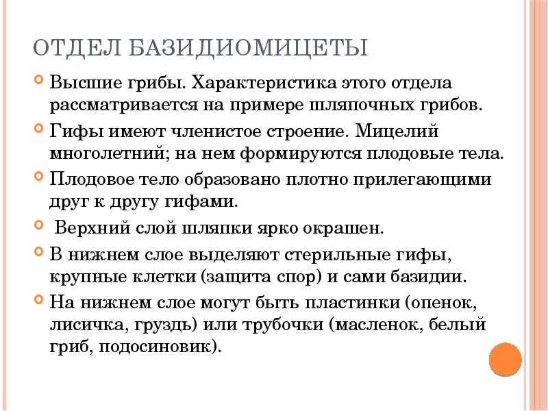 Что значит отд. Базидиомицеты характеристика. характеристика отдела базидиомикота.