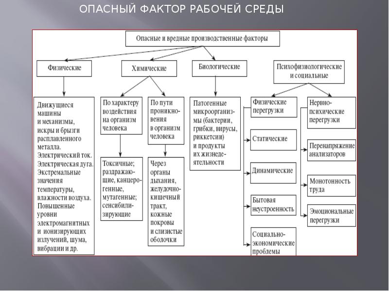 Проект по гигиене