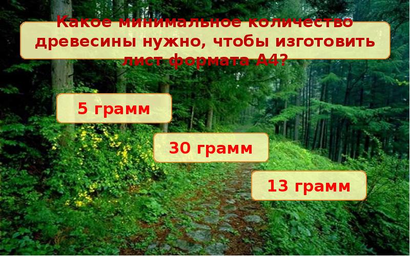 Леса должны. Викторина про лес. Викторина о лесе для детей. Викторина про кусты. Вопросы про лес.