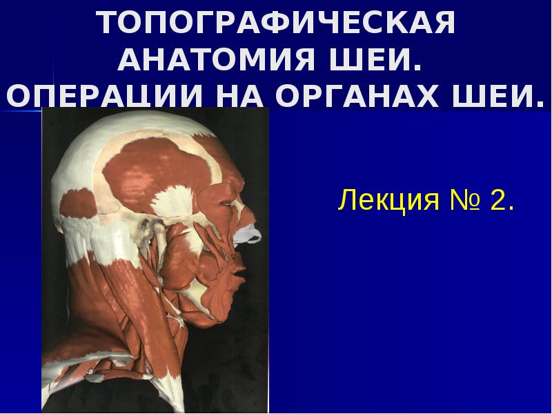 ТОПОГРАФИЧЕСКАЯ АНАТОМИЯ ШЕИ.  ОПЕРАЦИИ НА ОРГАНАХ ШЕИ.