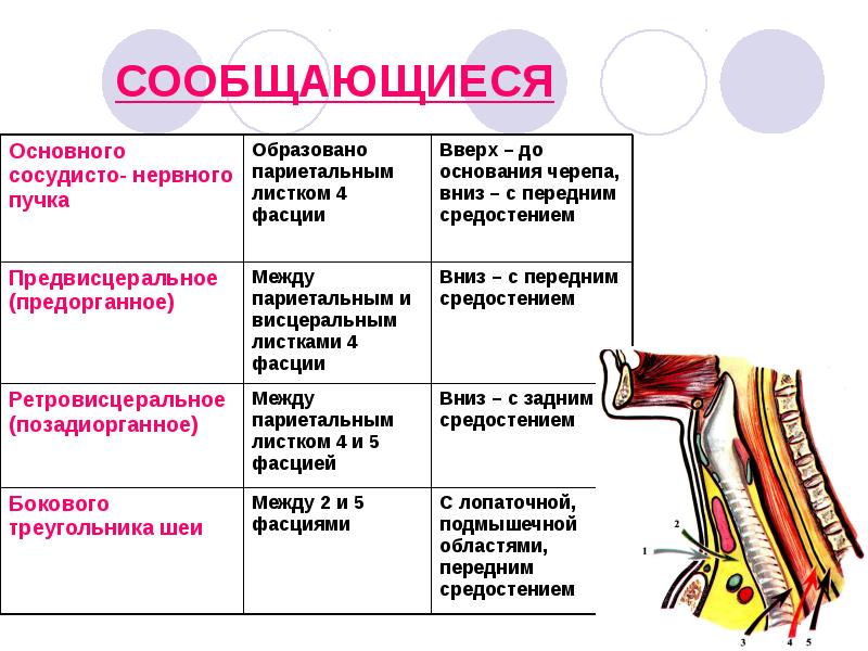 СООБЩАЮЩИЕСЯ