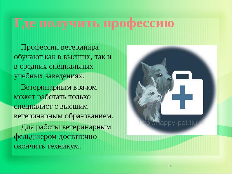 Проект по ветеринарии 11 класс