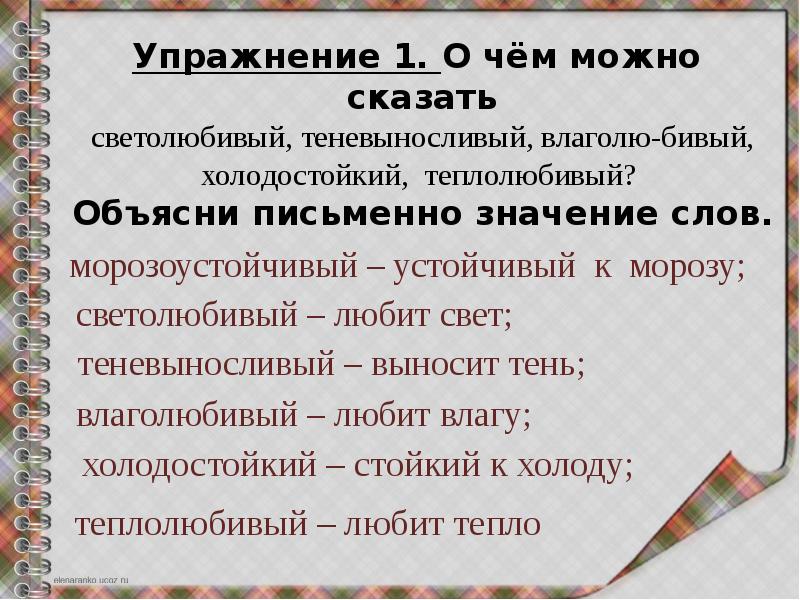 Состав слова значение. О чем можно сказать светолюбивый. О чём можно сказать светолюбивый теневыносливый. О чем можно сказать светолюбивый теневыносливый влаголюбивый. О чём можно сказать теневыносливый.