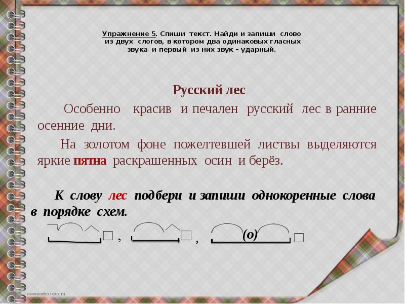 Русский язык 5 класс состав слова повторение. Русский язык 5 класс состав слова повторение